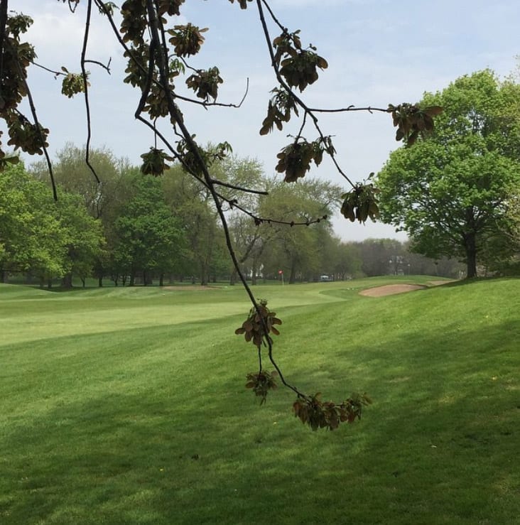 Robert A. Black Golf Club in Chicago, Illinois