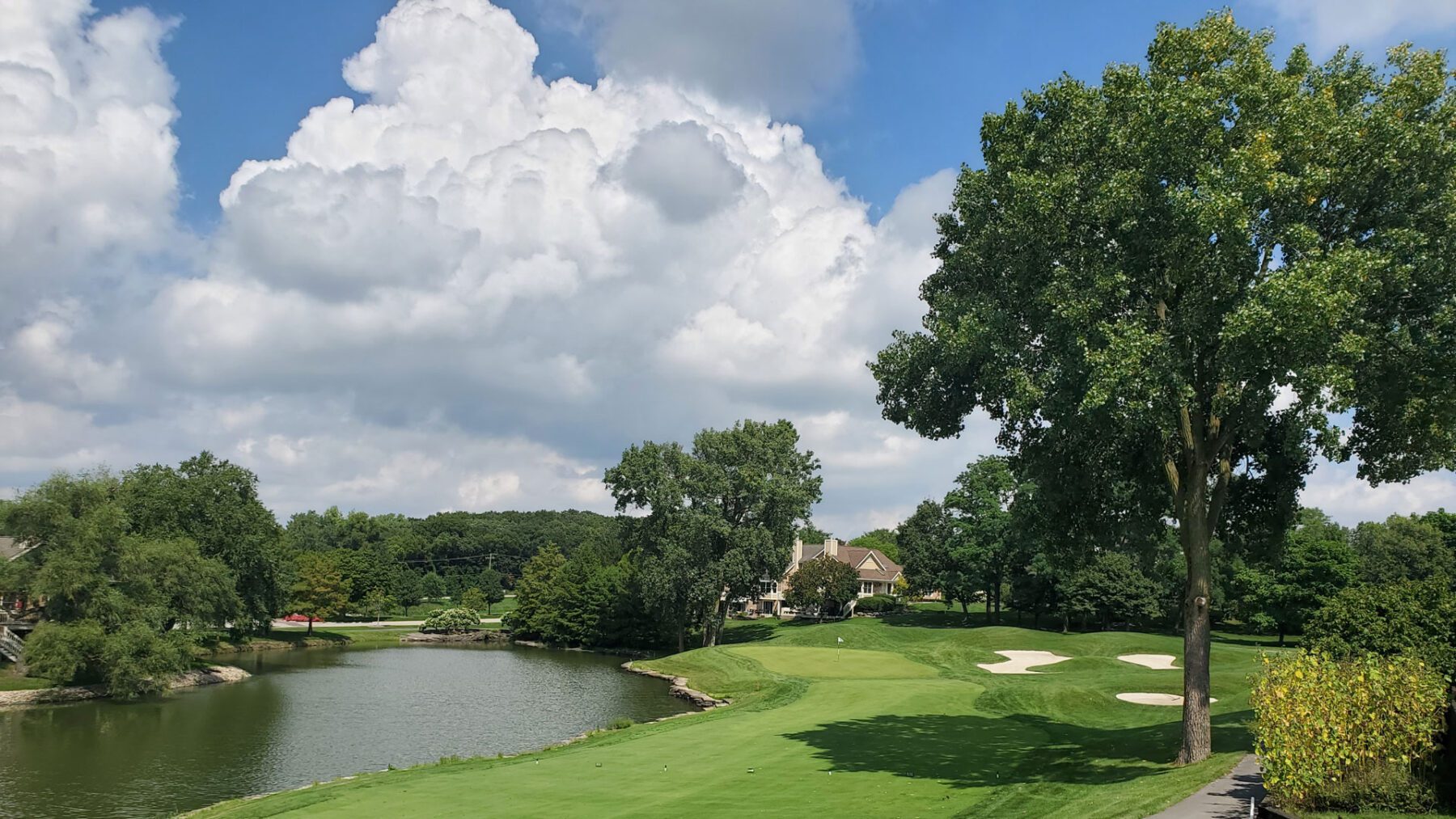 Crystal Tree - 4th Hole