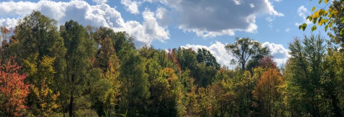 Beacon Hill Golf Course