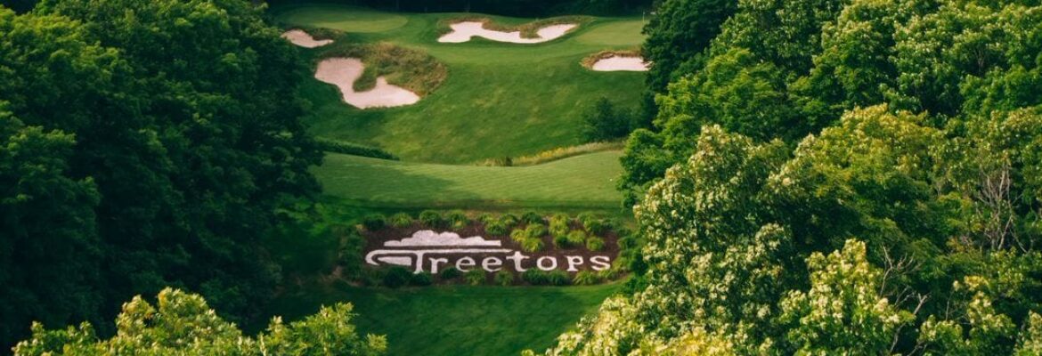 Treetops Resort