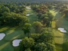 nscc-tree-canopy