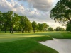 nscc-tree-lined-fairway