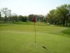 Flagg-Creek-6-green