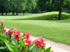 Pottawatomie-In-bloom