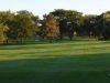 Apple-Orchard-panorama