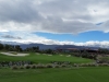 Desert Willow Golf Resort
