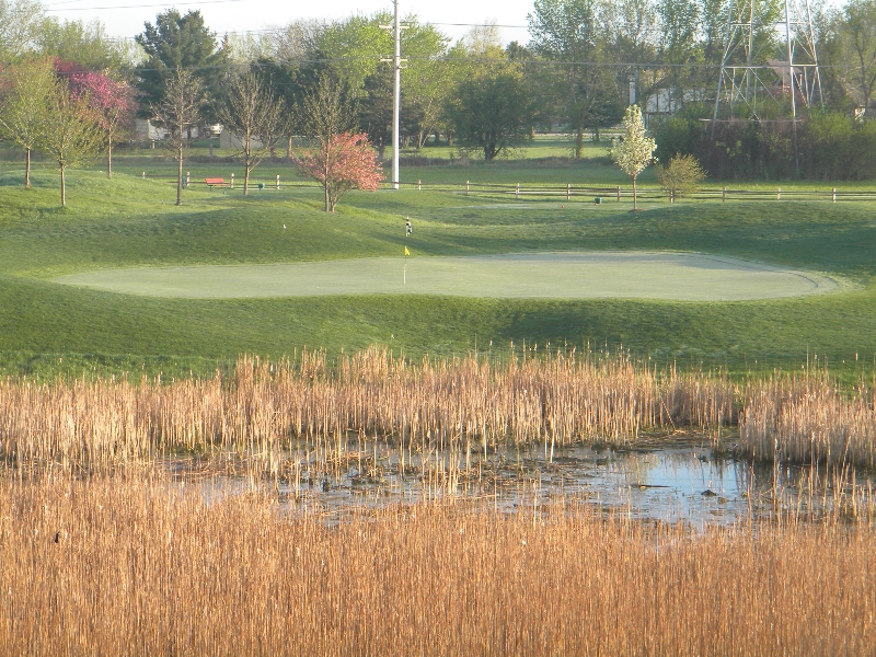 Grayslake Golf Course The Little Course That Could Chicago Golf Report