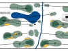 Greenshire-Golf-Course-Map-800x359-1