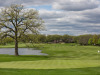 STONEBRIDGE-CC