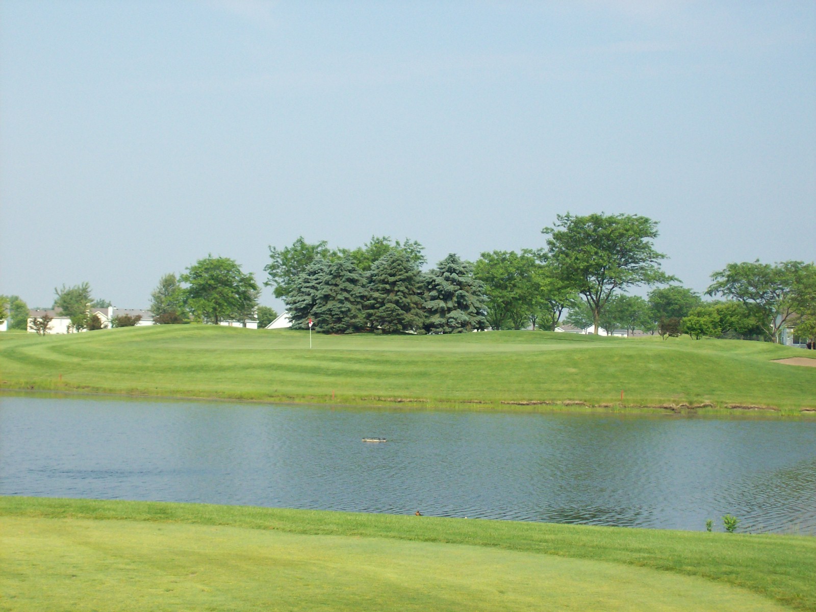 The Links at Carillon for Sale Chicago Golf Report