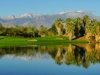 DesertWillow-MtView-#11