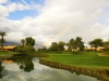 westinmissionhills_PeteDye#8