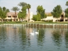 westinmissionhills_PeteDye_#14side