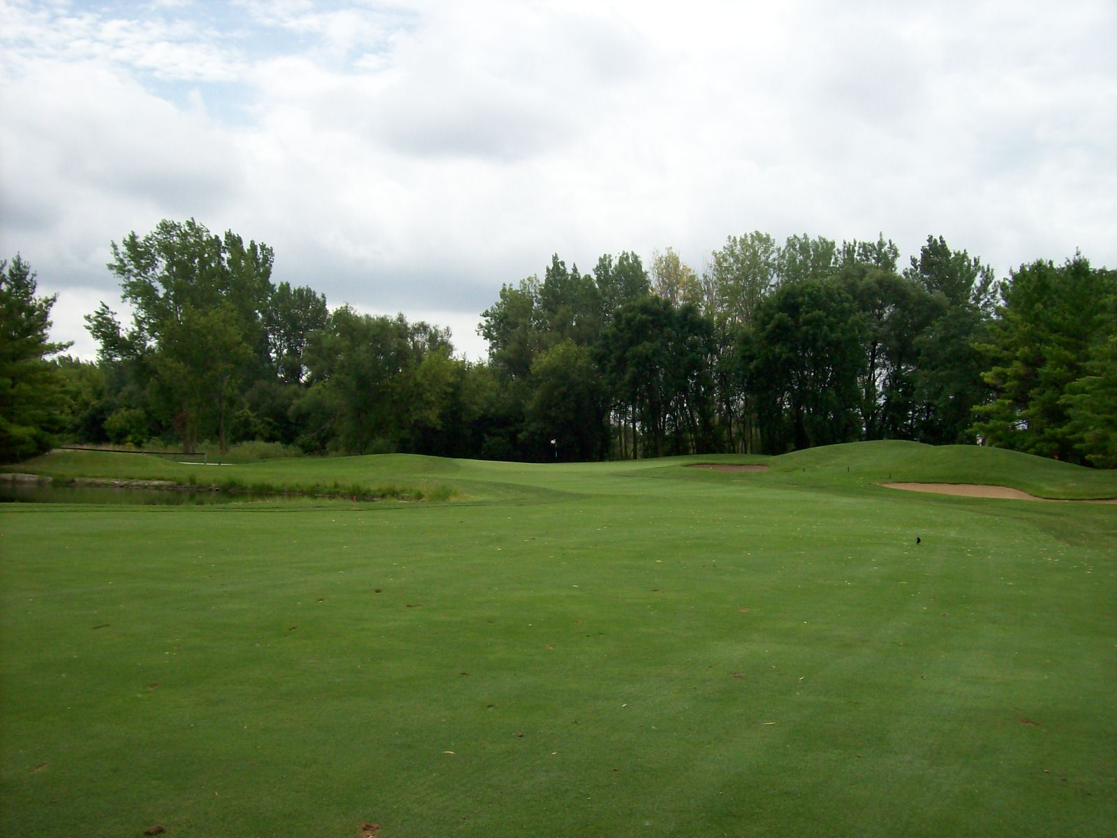 Randall Oaks Golf Club in West Dundee Chicago Golf Report