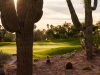 phoenician-14-2