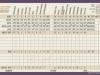 talking_stick_Oodham_scorecard