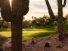 phoenician-14-2