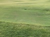 Ninety-yards-long