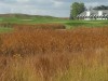 crook-clubhouse-rearview