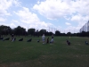 silver_lake_golf_11