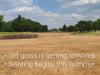 Plenty-of-new-seed-to-be-used