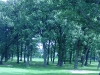 Timber Trails Country Club