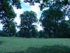 DSC04547