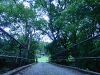 DSC04548