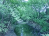 DSC04549