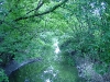 DSC04550