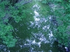 DSC04551