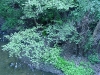 DSC04552