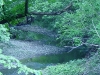 DSC04553