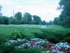 DSC04554