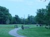 DSC04555
