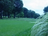 DSC04565