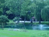 DSC04587