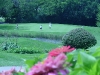 DSC04592