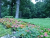 DSC04594