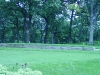 DSC04595