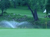 DSC04600