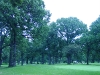 dsc04523