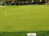 WGC-putting-green-close-up