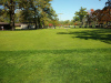 WGC-putting-green