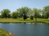 Zigfield-Troy-Golf-Hole-4