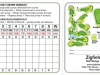 zigfield-troy__scorecard