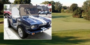 chicago_golf_cart