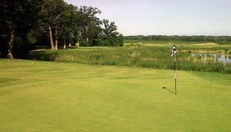 CHICAGOS_TOUGHEST_GREENS