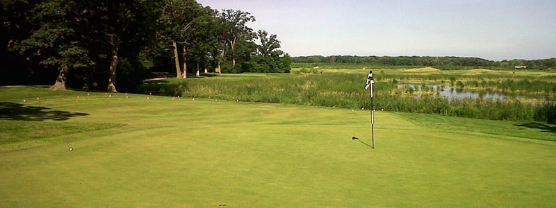 CHICAGOS_TOUGHEST_GREENS