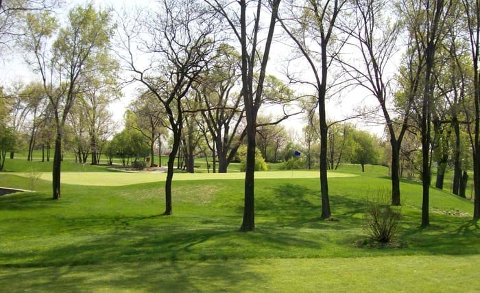 FLAGG-CREEK-5TH-GREEN
